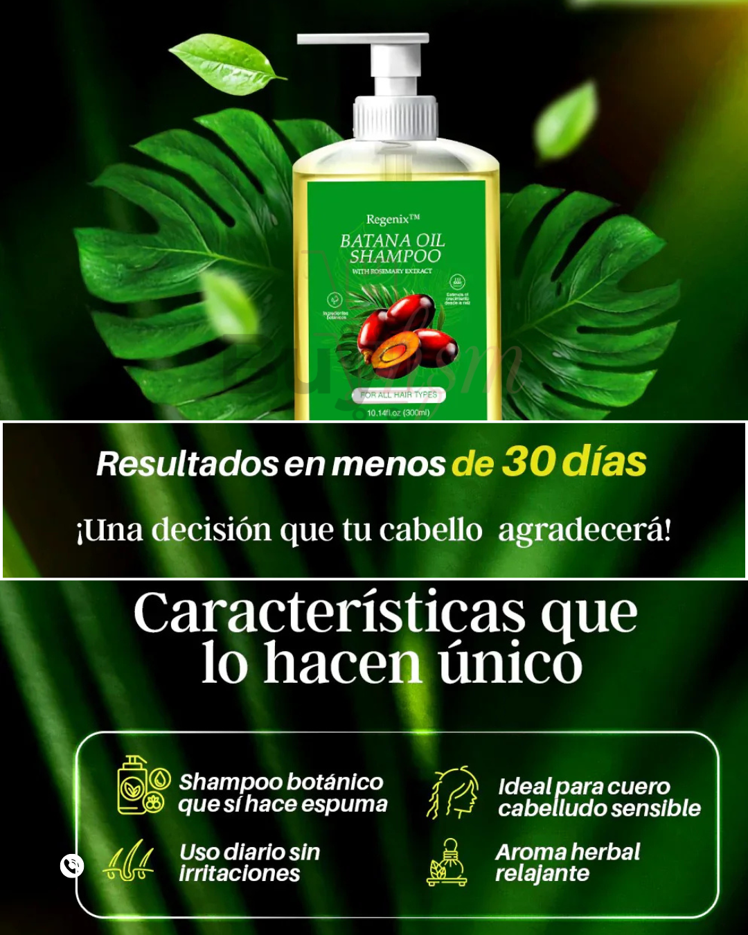 Batana Oil Shampoo – Reduce la caída y fortalece tu cabello desde la raíz